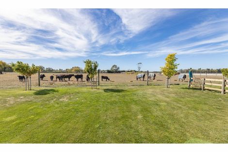 Photo of property in 25 Hallfield Drive, Ohoka, Kaiapoi, 7692