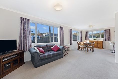 Photo of property in 22 Darley Street, Somerfield, Christchurch, 8024