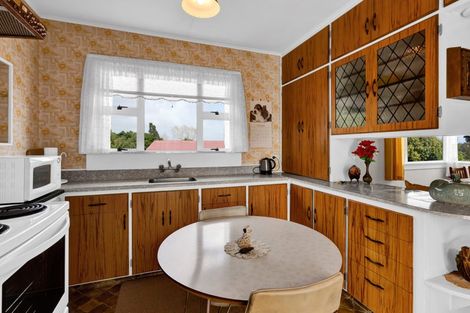 Photo of property in 19 Essex Street, Vogeltown, New Plymouth, 4310