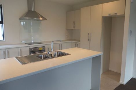 Photo of property in 145 Infinity Drive, Pegasus, 7612