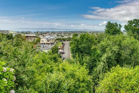 Photo of property in 22 Colenso Avenue, Hospital Hill, Napier, 4110