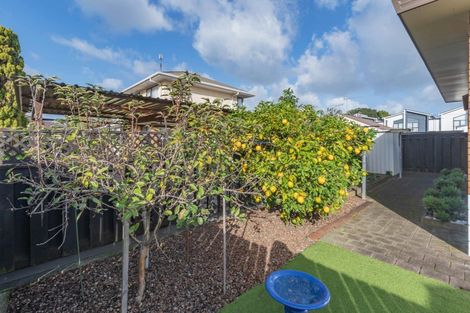 Photo of property in 3b Nelson Street, Papakura, 2110