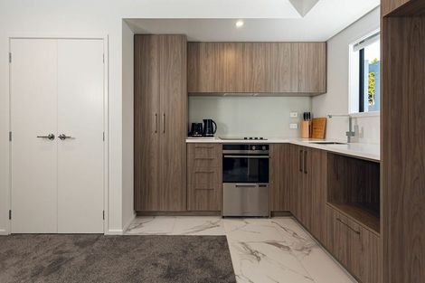 Photo of property in 21 Bings Lane, Richmond, Christchurch, 8013