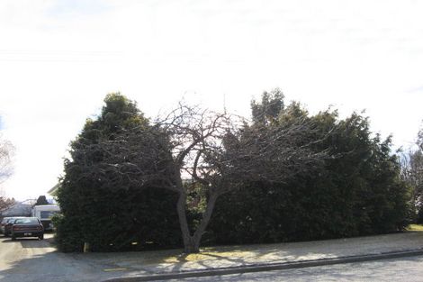 Photo of property in 15 Thomas Street, Ranfurly, 9332