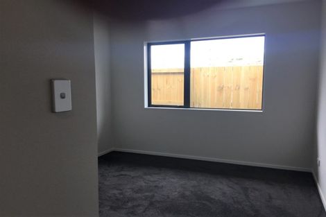 Photo of property in 29 Ladeira Place, Fitzroy, Hamilton, 3206