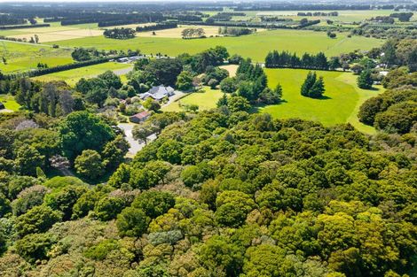 Photo of property in 161 Underhill Road, Featherston, 5773