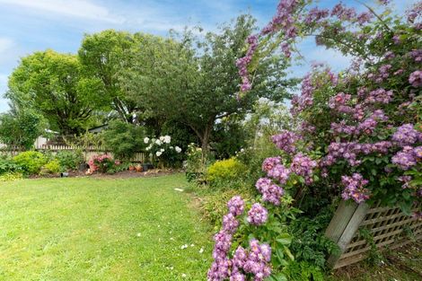 Photo of property in 47 Costley Street, Carterton, 5713