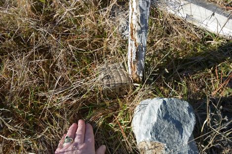 Photo of property in 80 Ohau Drive, Lake Ohau, Twizel, 9412