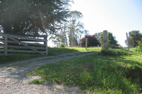 Photo of property in 117 Plummers Point Road, Whakamarama, Tauranga, 3172