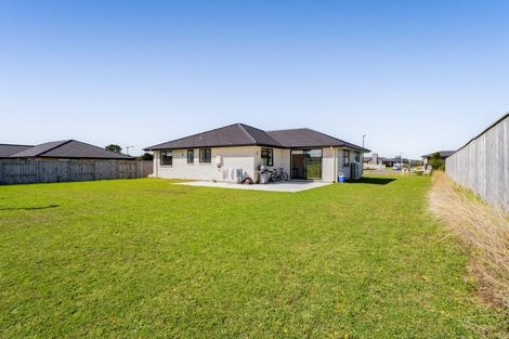 Photo of property in 24 Bianca Crescent, Stratford, 4332