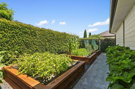 Photo of property in 144 Hussey Road, Northwood, Christchurch, 8051