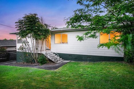 Photo of property in 69 Pine Avenue, Henderson, Auckland, 0612