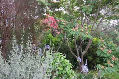 Photo of property in 133 Ferguson Street, Bay View, Napier, 4104