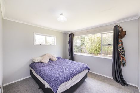 Photo of property in 60 Clarke Avenue, Highbury, Palmerston North, 4412