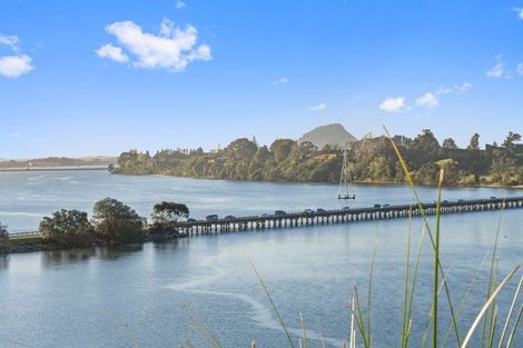 Photo of property in 91 Te Hono Street, Maungatapu, Tauranga, 3112