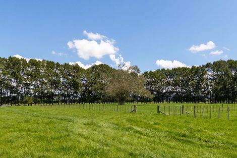 Photo of property in 393 Dawson Road, Taupiri, 3791