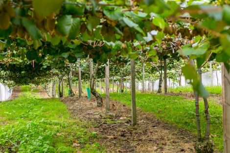 Photo of property in 37 Jacks Lane, Oropi, Tauranga, 3173