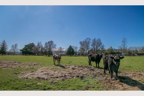 Photo of property in 610 Raetihi Ohakune Road, Ohakune, 4691