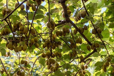 Photo of property in 94a Snodgrass Road, Te Puna, Tauranga, 3174