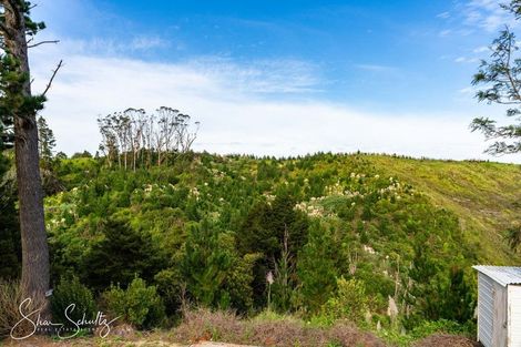 Photo of property in 800 Bickerstaffe Road, Maungaturoto, 0587