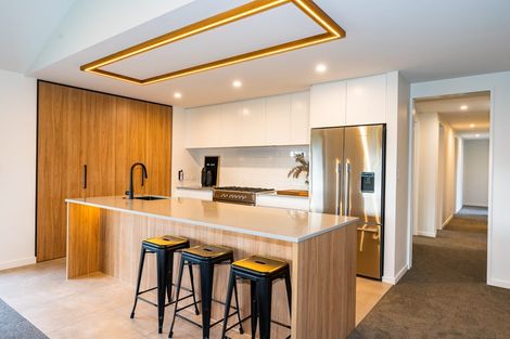 Photo of property in 52 Mchughes Road, Swannanoa, Kaiapoi, 7692