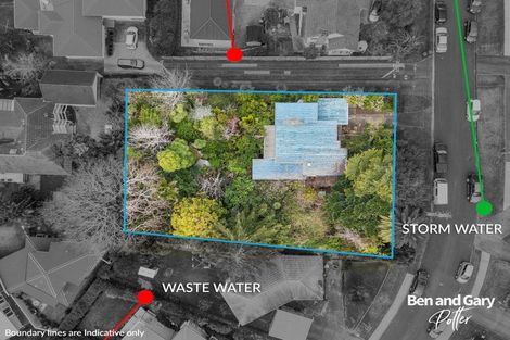 Photo of property in 63 Corunna Road, Milford, Auckland, 0620