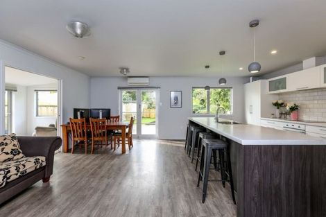 Photo of property in 31a Elizabeth Place, Ferndale, New Plymouth, 4310