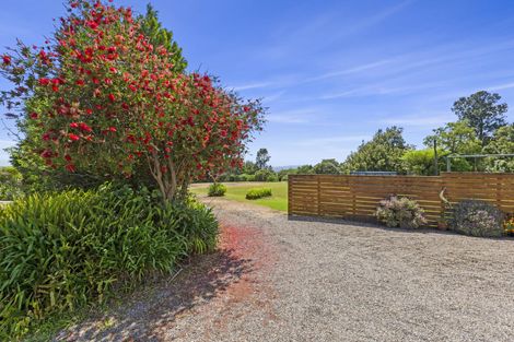 Photo of property in 57 Upper Wainui Road, Raglan, 3297