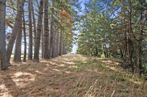 Photo of property in 273 Parewanui Road, Bulls, 4894