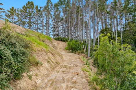 Photo of property in 663 Bickerstaffe Road, Maungaturoto, 0587