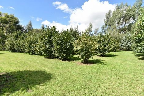 Photo of property in 372 Earlys Road, Cust, 7471