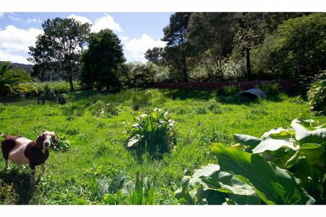 Photo of property in 67 Omaunu Road, Kaeo, 0479
