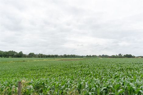 Photo of property in 287 Raynes Road, Rukuhia, Hamilton, 3282