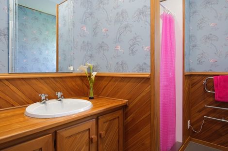 Photo of property in 40 Barclay Street, North East Valley, Dunedin, 9010