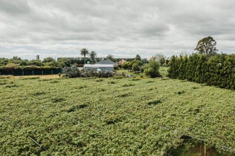 Photo of property in 568 Te Puke Highway, Te Puke, 3187