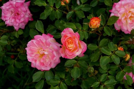 Photo of property in 56 Purau Port Levy Road, Purau, Diamond Harbour, 8972