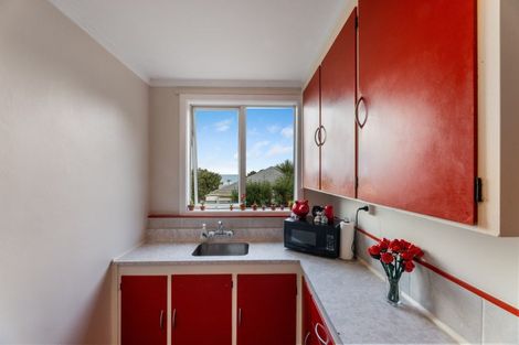 Photo of property in 221 Tomahawk Road, Andersons Bay, Dunedin, 9013