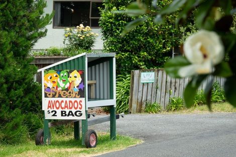 Photo of property in 313 Youngson Road, Whakamarama, Tauranga, 3179