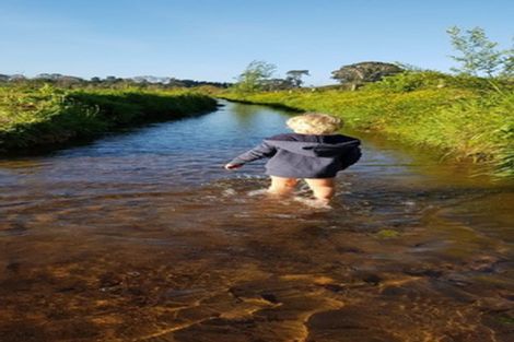 Photo of property in 56b Te Puna Road, Te Puna, Tauranga, 3174