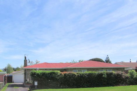 Photo of property in 8 Gordon Terrace, Matamata, 3400