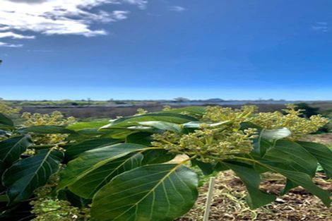 Photo of property in 79 Sapphire Drive, Hairini, Tauranga, 3112