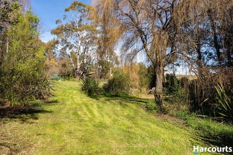 Photo of property in 367 The Coastal Hway, Redwood Valley, Richmond, 7081