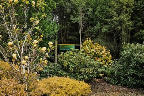 Photo of property in 41 Arcadia Place, Seaward Bush, Invercargill, 9812