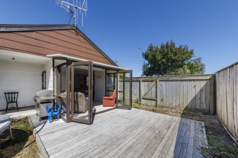 Photo of property in 237 Vogel Street, Roslyn, Palmerston North, 4414