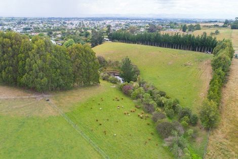Photo of property in 22 Halcombe Road, Feilding, 4702