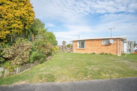 Photo of property in 75 Fairview Avenue, Feilding, 4702