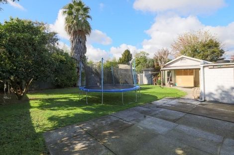 Photo of property in 3 Marshall Street, Fairfield, Hamilton, 3214