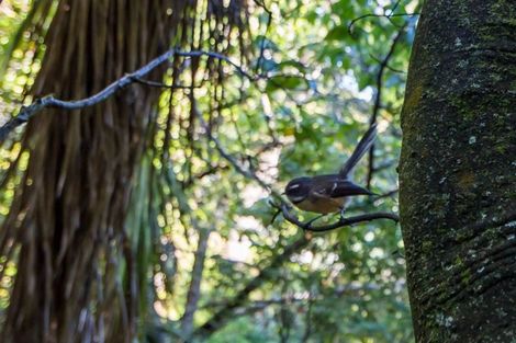 Photo of property in 9 Sherwood Lane, Cashmere, Christchurch, 8022