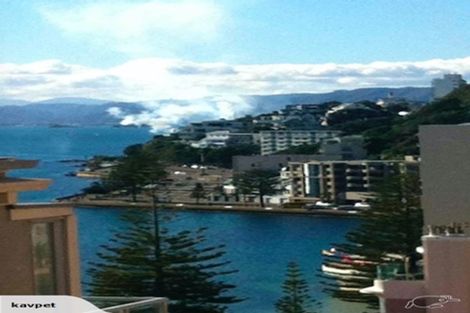 Photo of property in 4/17 Oriental Terrace, Oriental Bay, Wellington, 6011