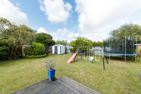 Photo of property in 23 Winchester Street, Awapuni, Palmerston North, 4412
